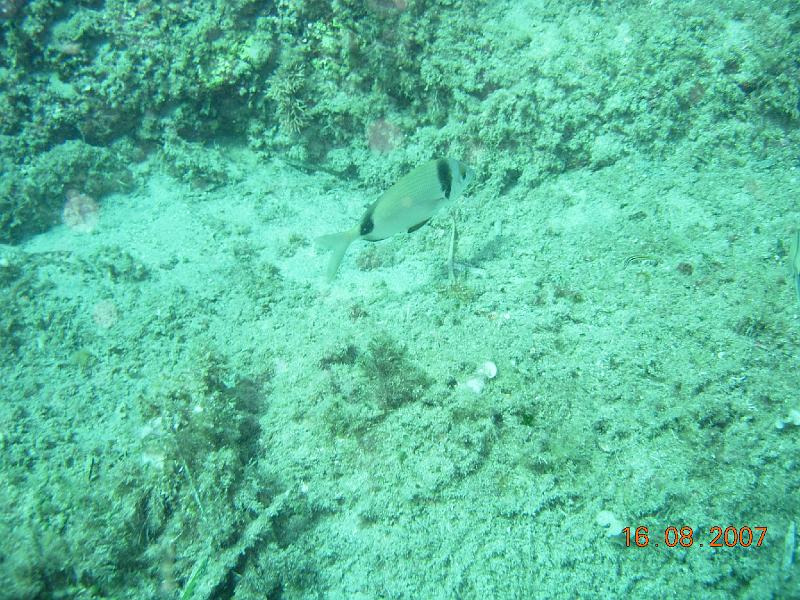 DSCN5740